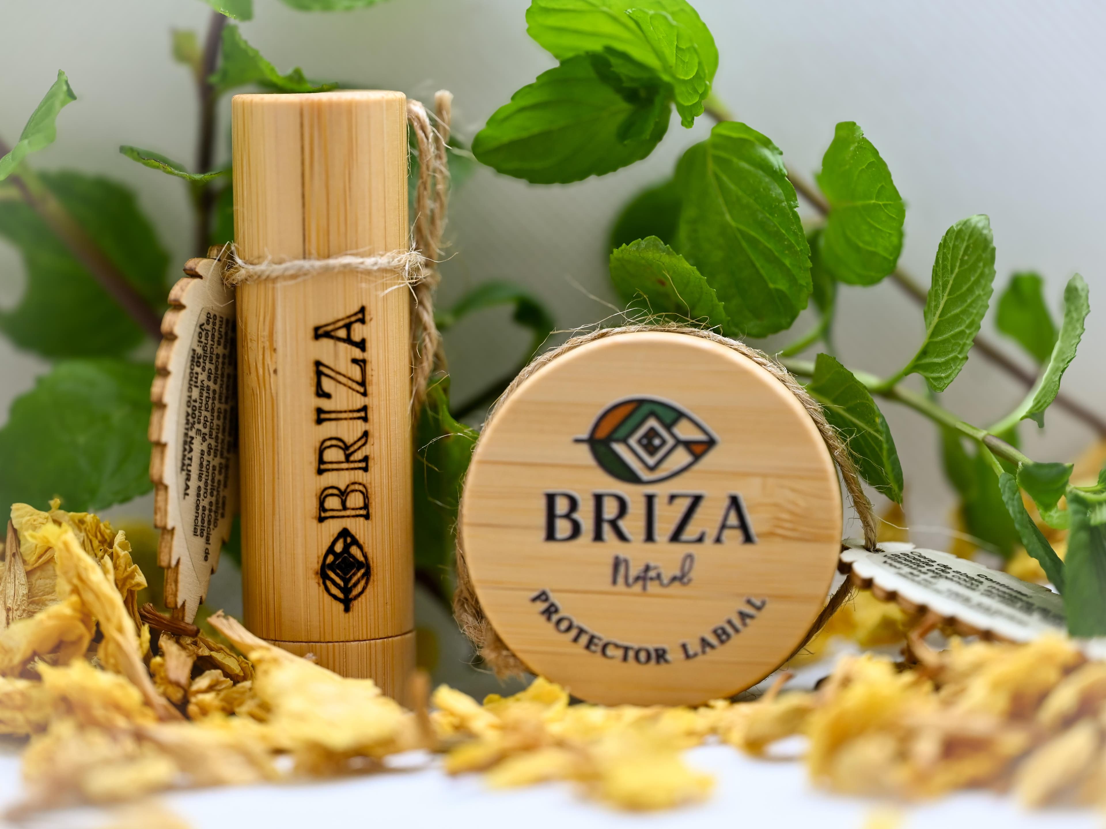 Protector Labial (tubo)